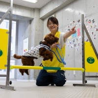 神戸ブレーメン動物専門学校 専門学校を探すなら進学ナビ