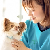 神戸ブレーメン動物専門学校の写真 専門学校を探すなら進学ナビ